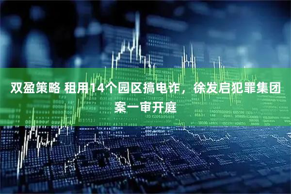 双盈策略 租用14个园区搞电诈，徐发启犯罪集团案一审开庭