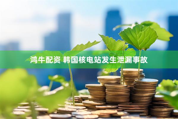 鸿牛配资 韩国核电站发生泄漏事故