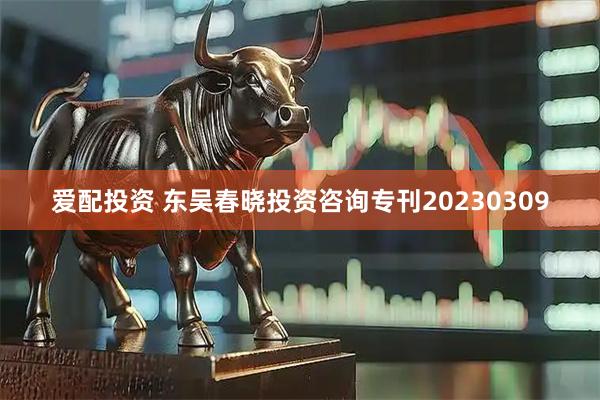 爱配投资 东吴春晓投资咨询专刊20230309