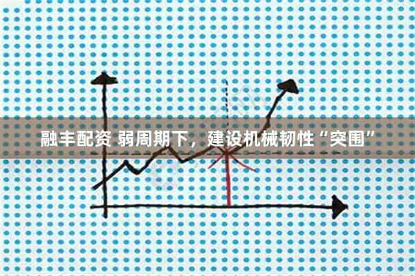 融丰配资 弱周期下，建设机械韧性“突围”