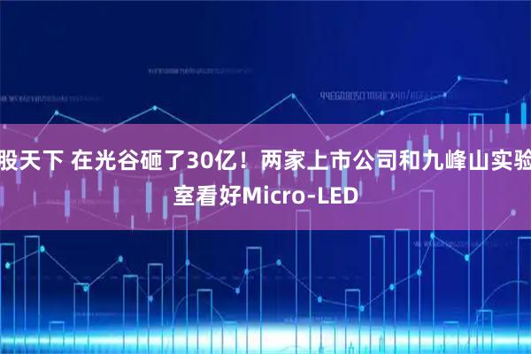 股天下 在光谷砸了30亿！两家上市公司和九峰山实验室看好Micro-LED