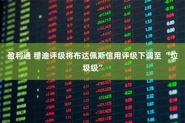 盈利通 穆迪评级将布达佩斯信用评级下调至 “垃圾级”