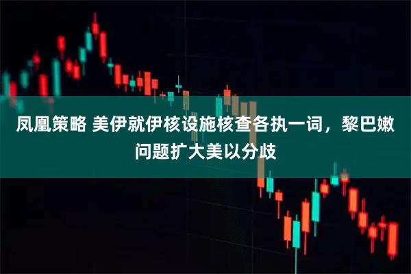 凤凰策略 美伊就伊核设施核查各执一词，黎巴嫩问题扩大美以分歧